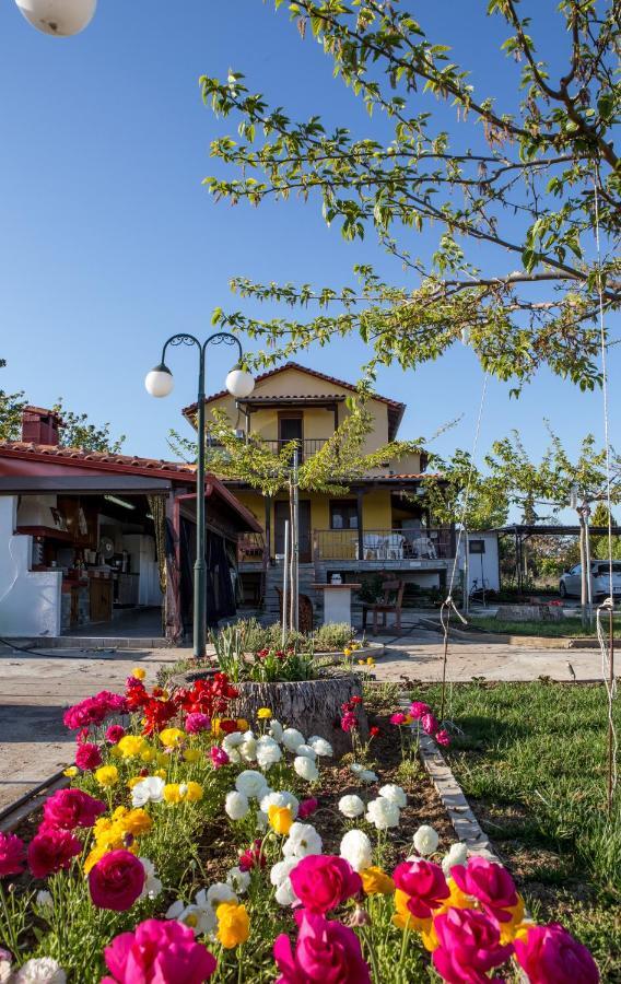 Sunset Villa Sozopoli Exterior foto